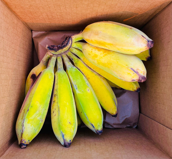 Thai Bananas are the Best!