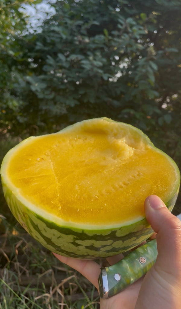 Exotic Melons