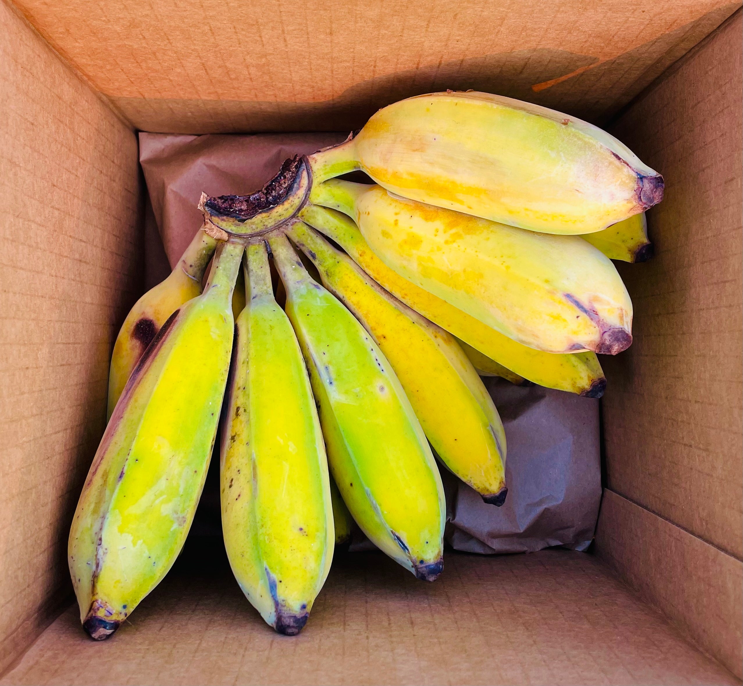 Thai Bananas (Nam Wah)