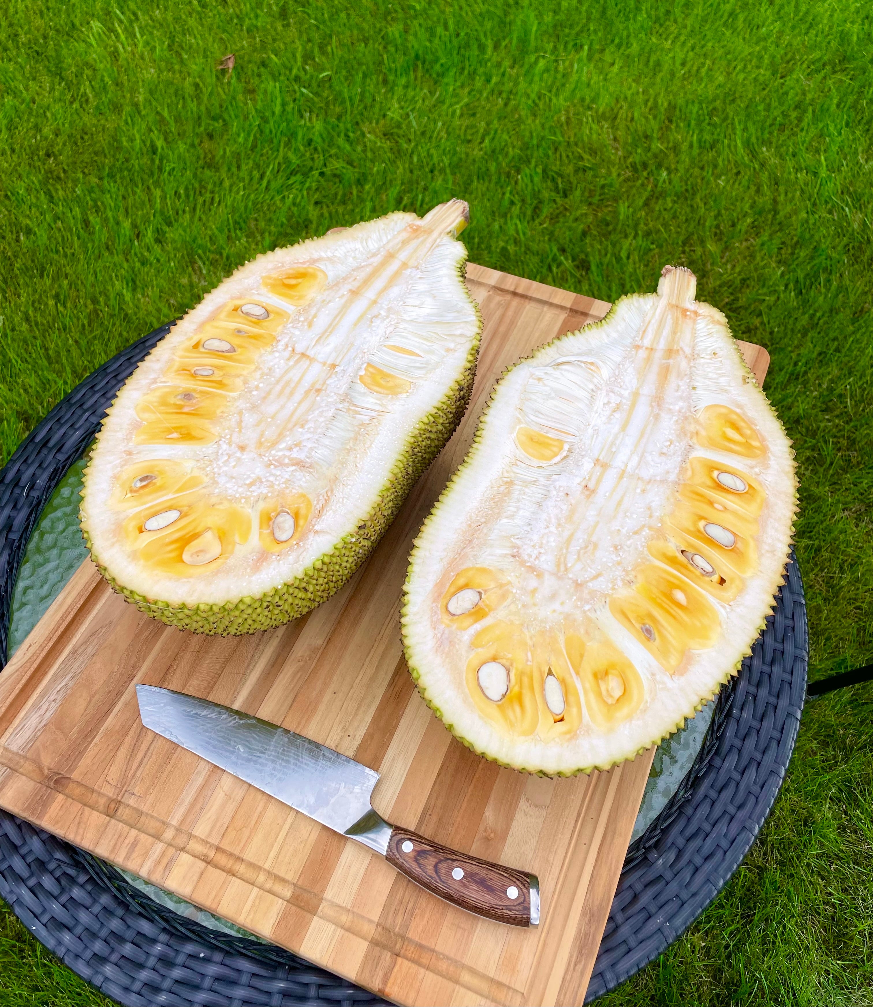 Jackfruit