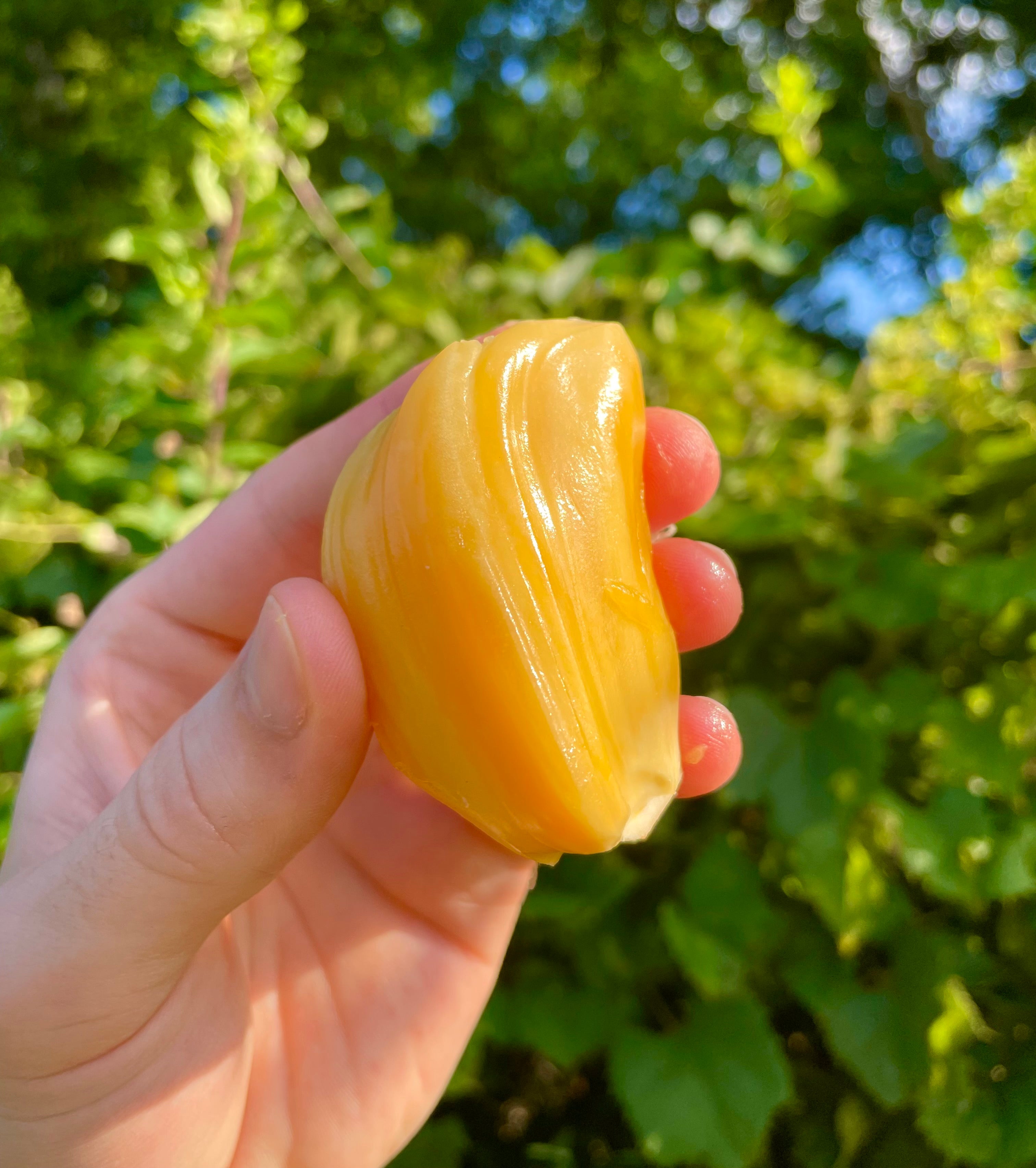 Jackfruit