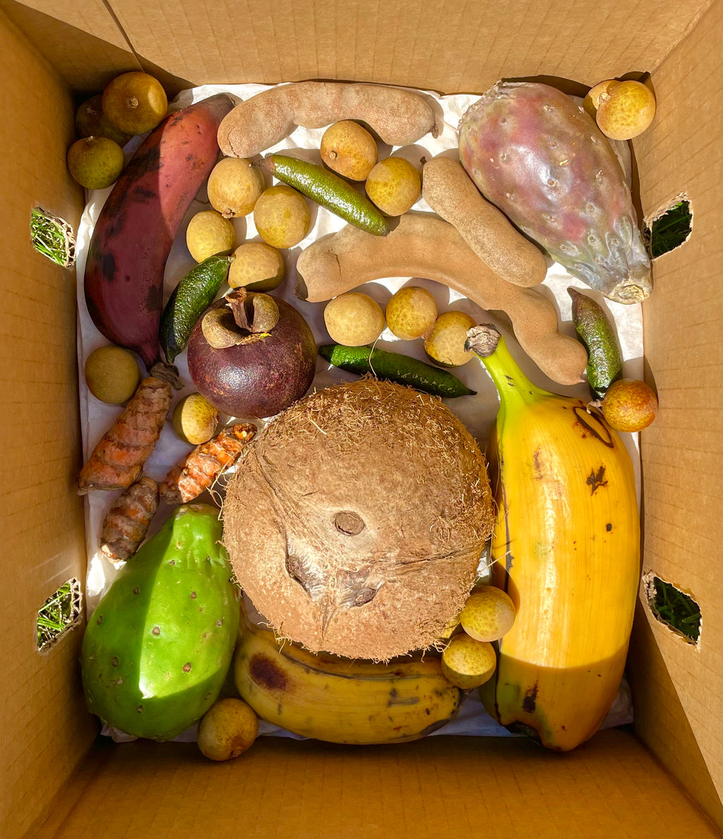 Variety Box