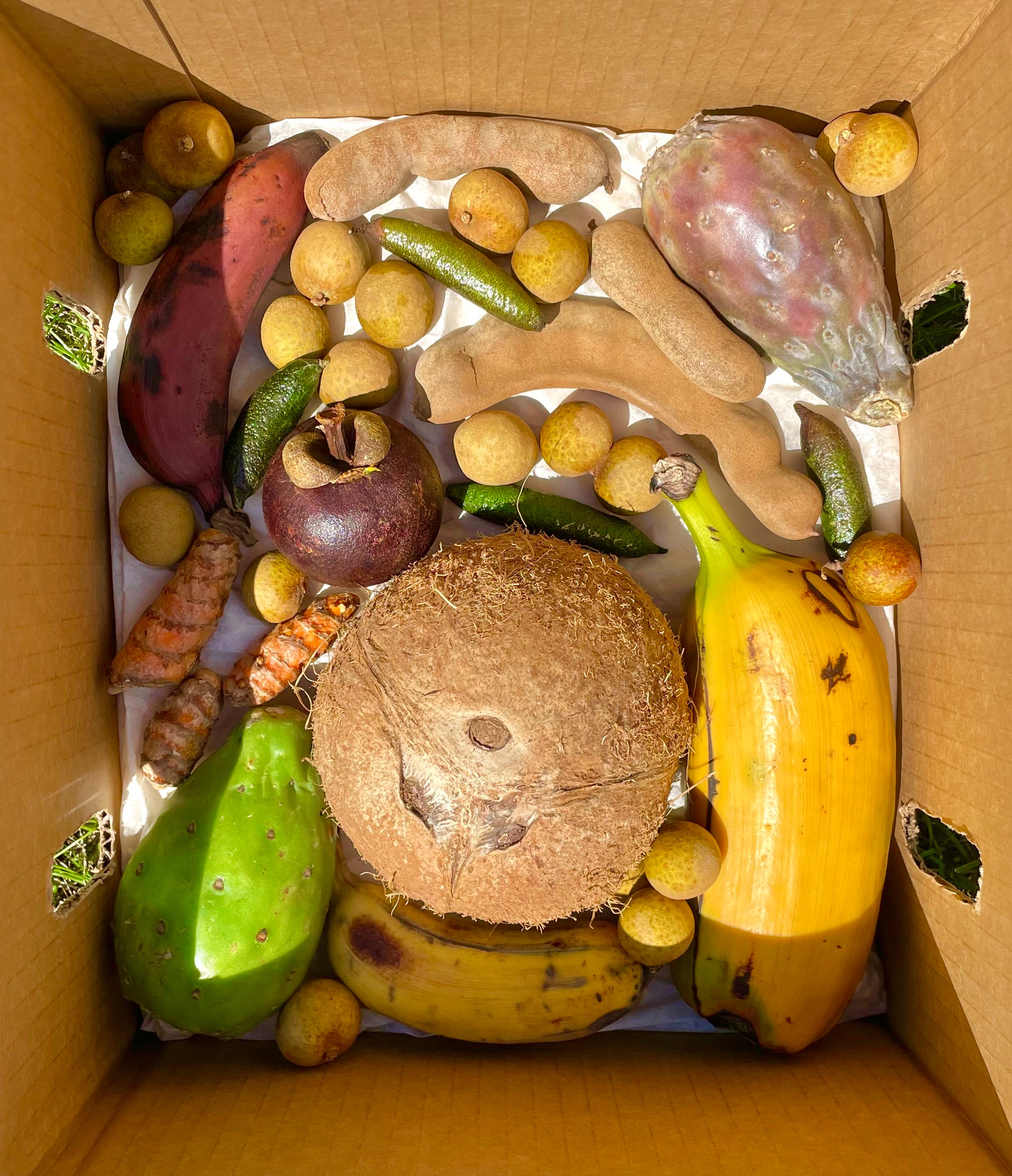 Variety Box