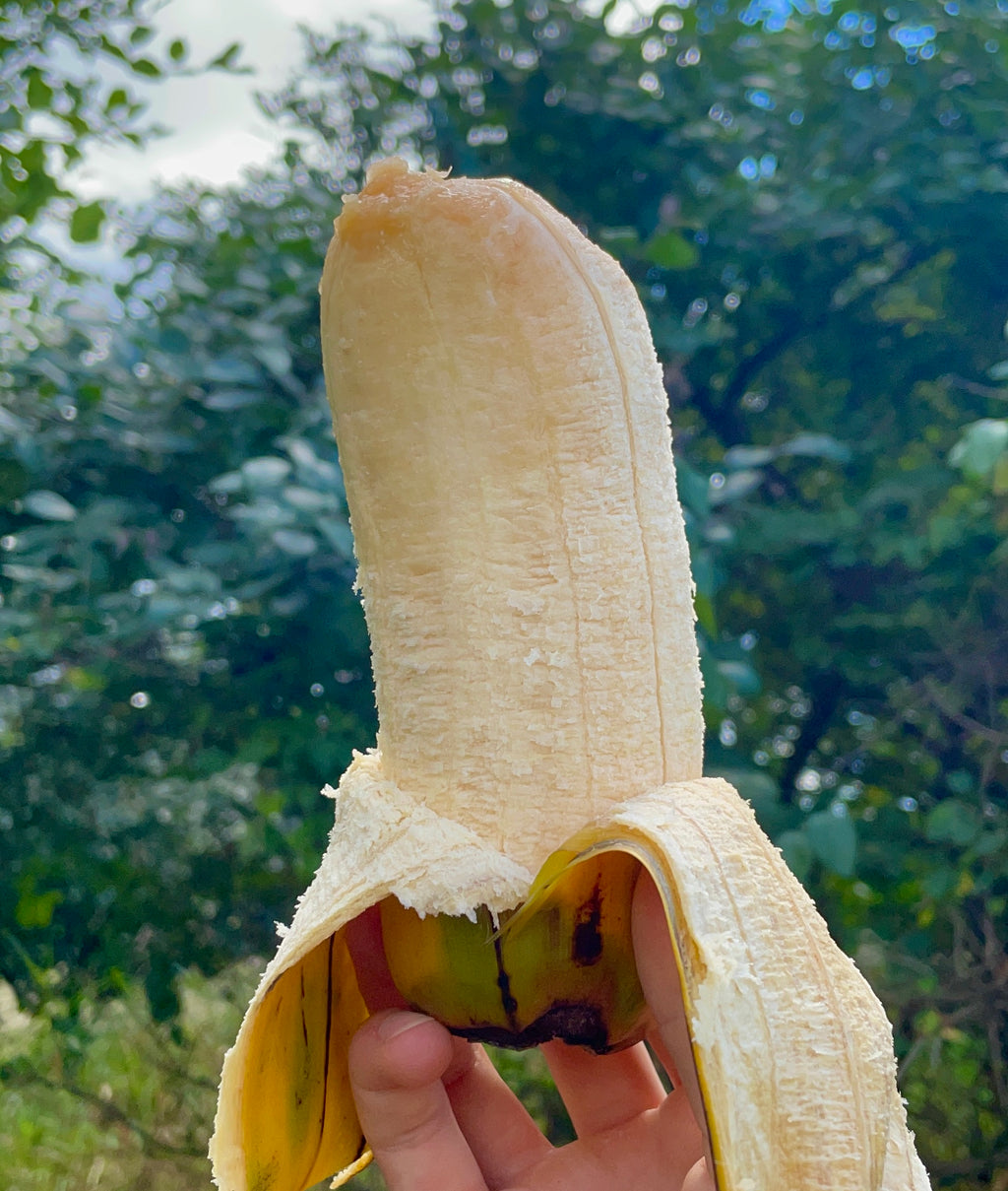Hua Moa Banana