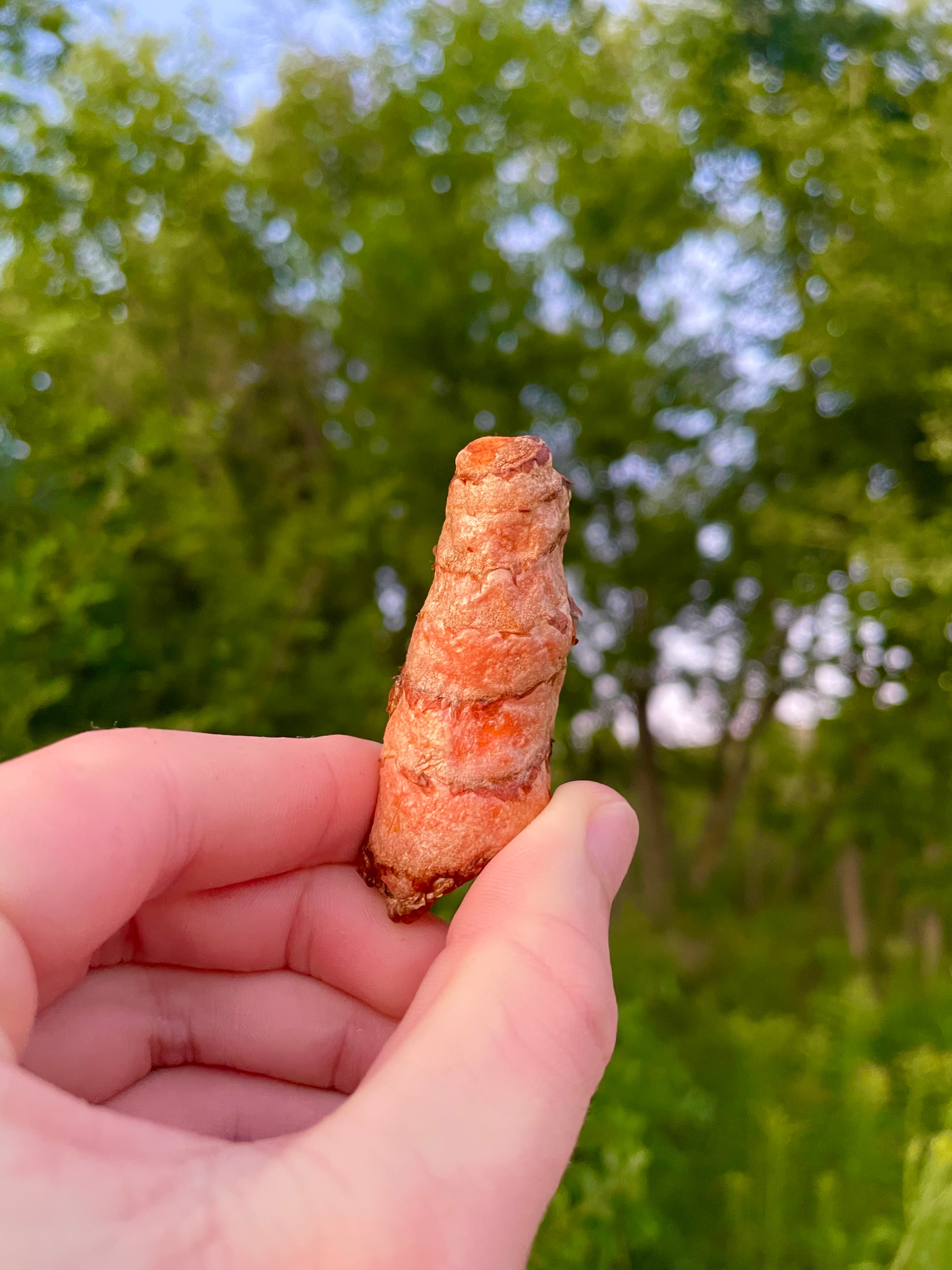 Fresh Whole Turmeric