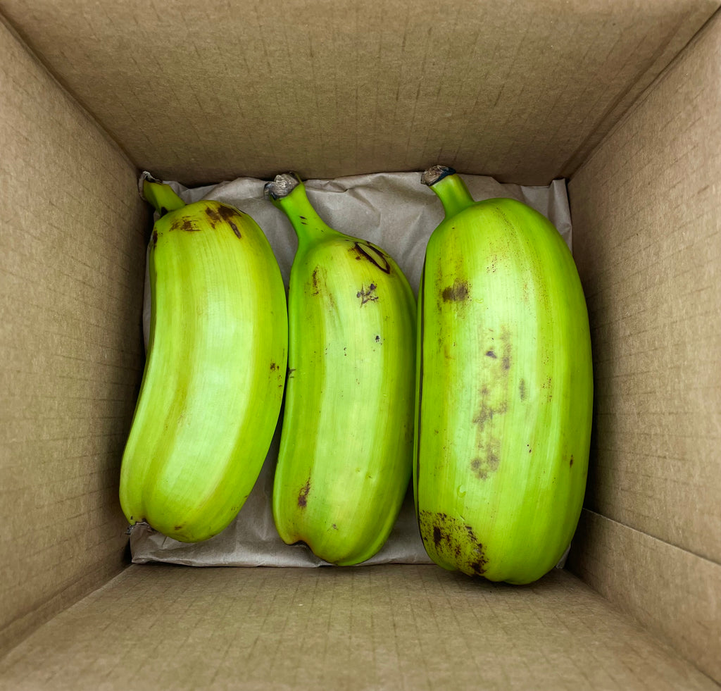 Hua Moa Banana
