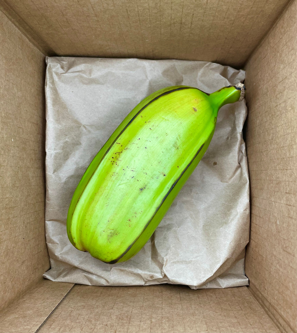 Hua Moa Banana