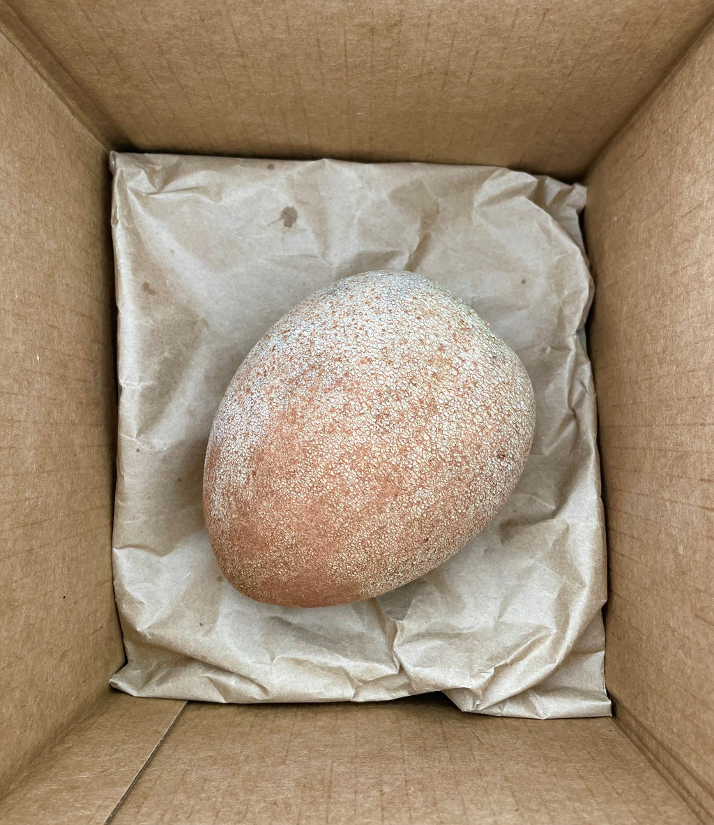 Mamey