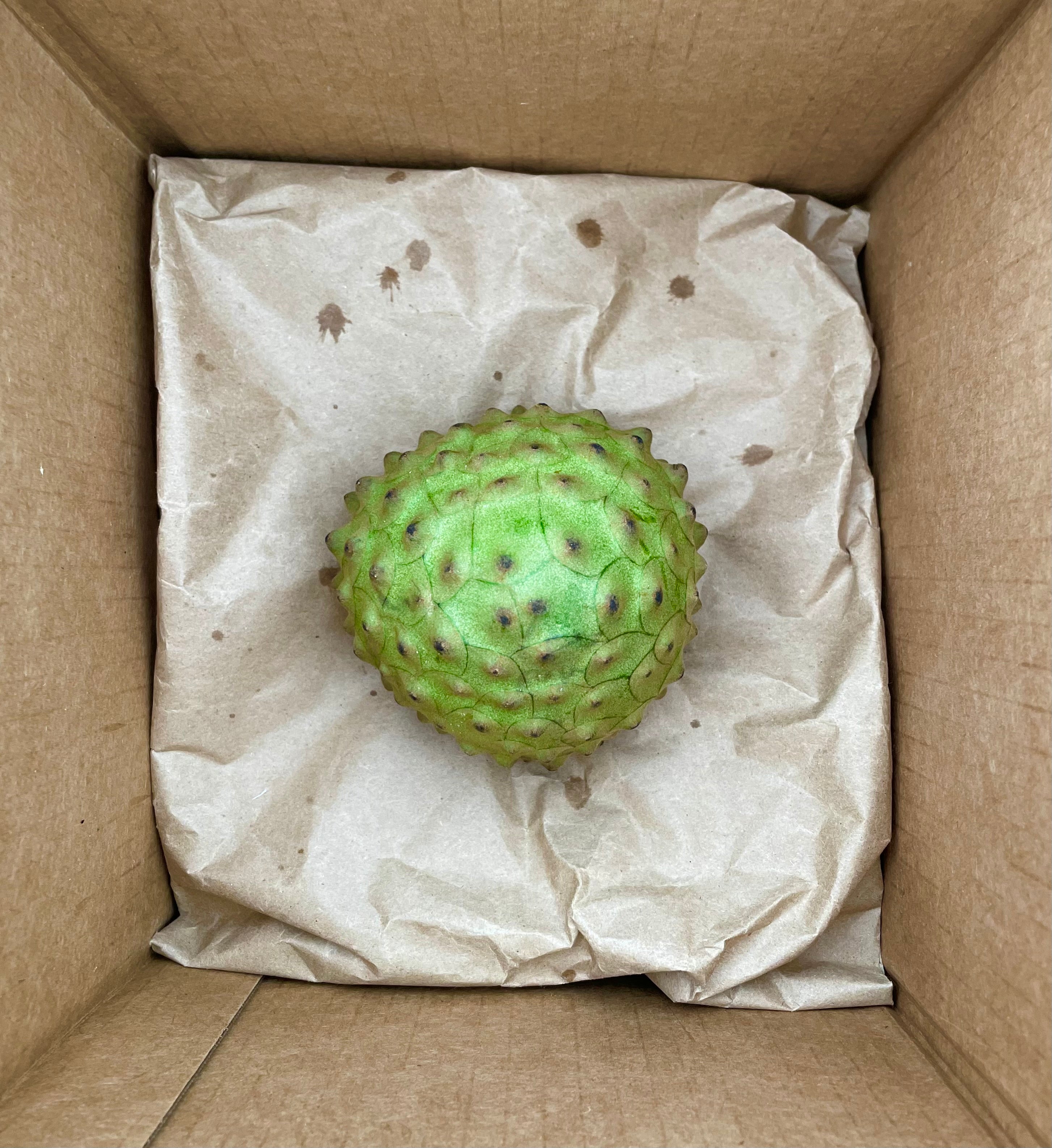Cherimoya
