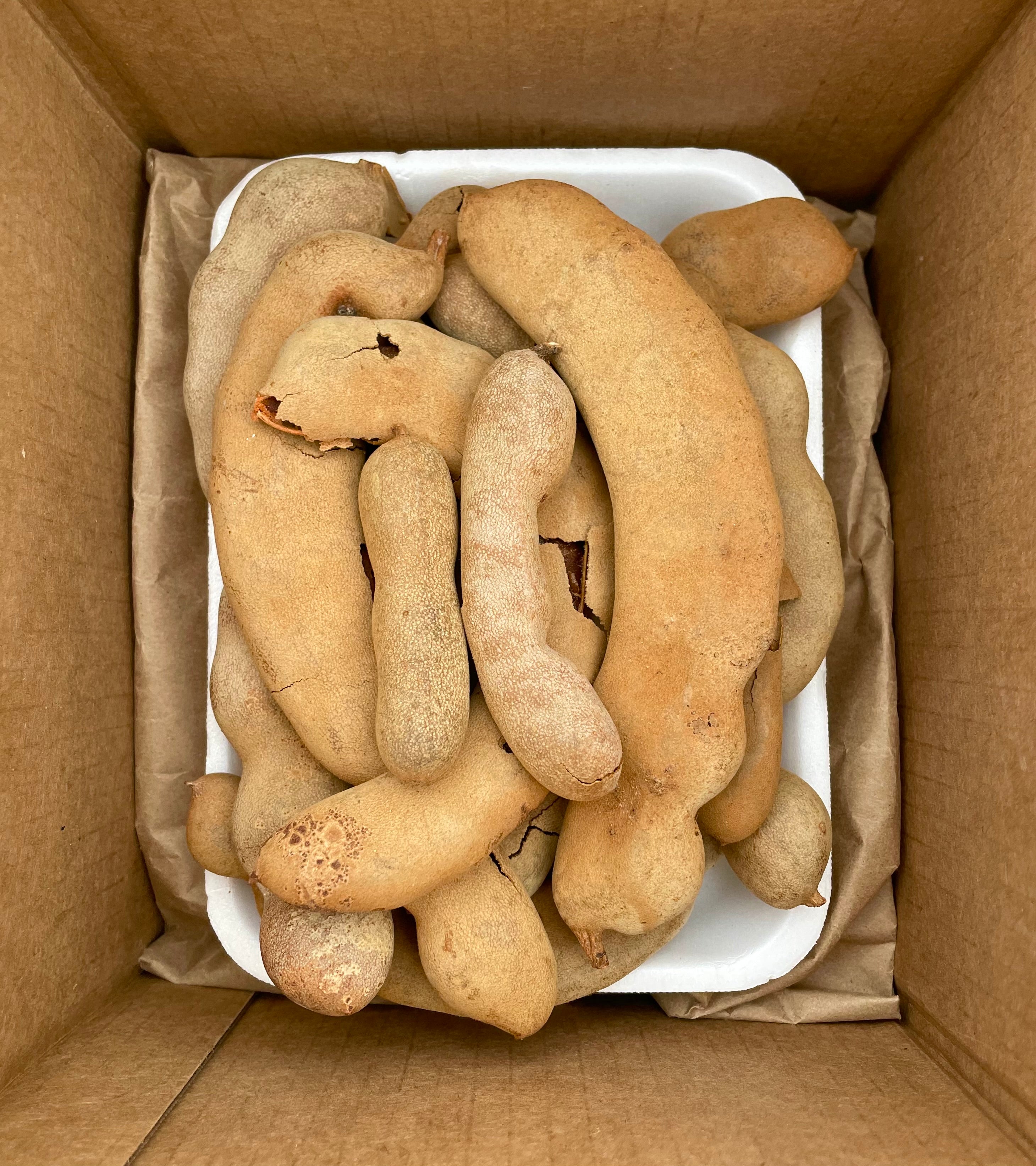 Sour Tamarind