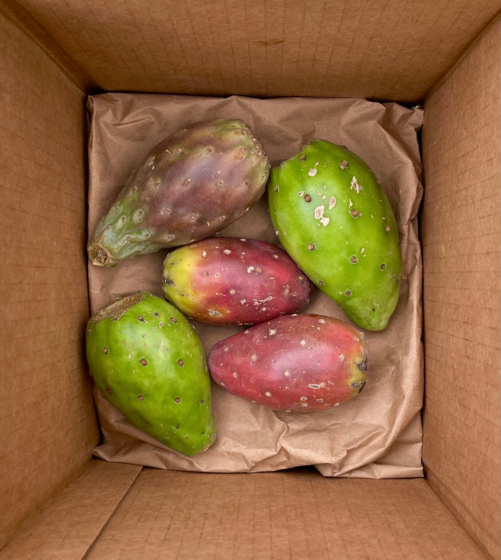 Mixed Cactus Fruit Box