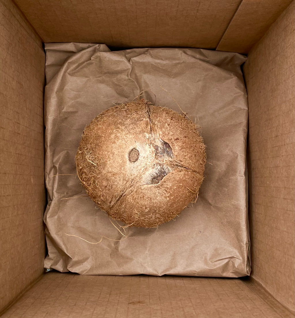 Coconut