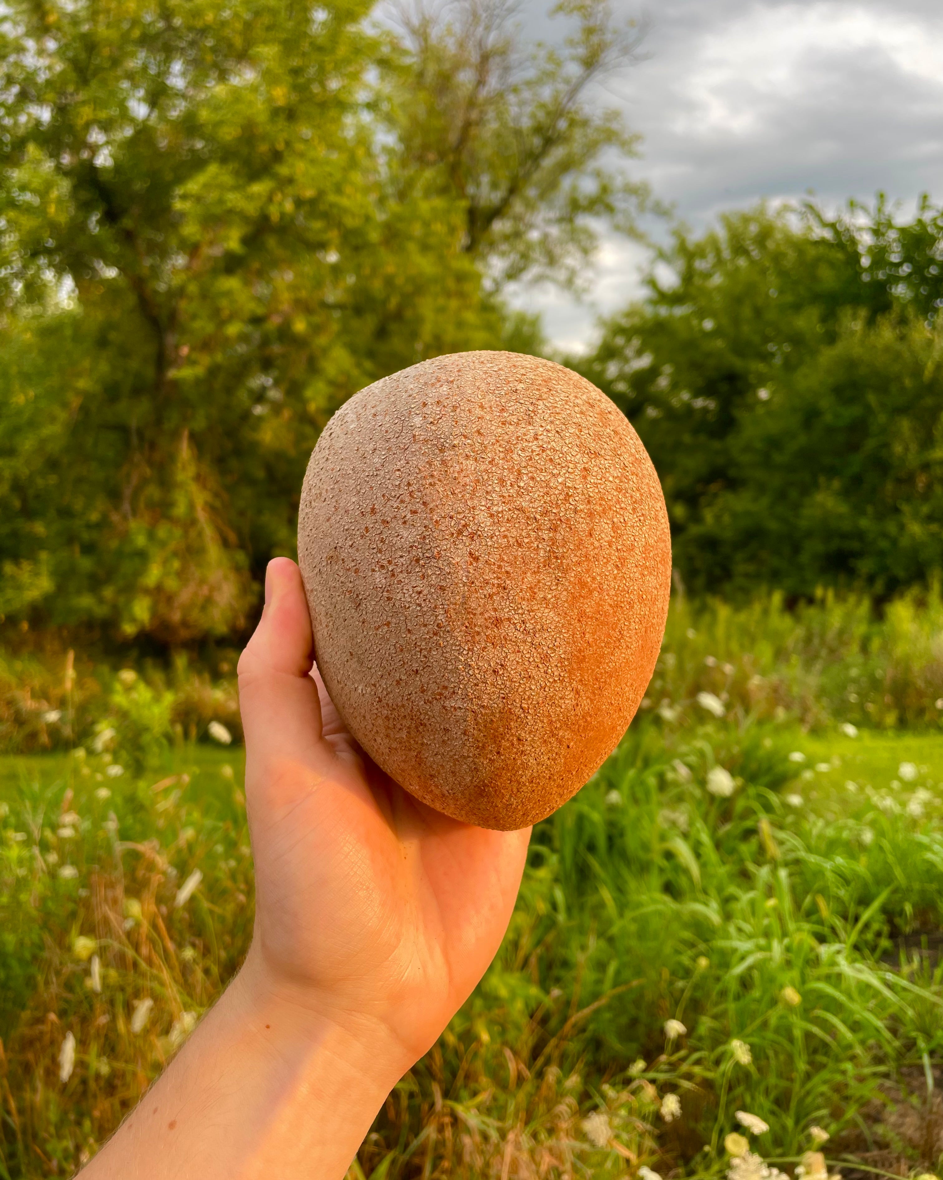 Mamey