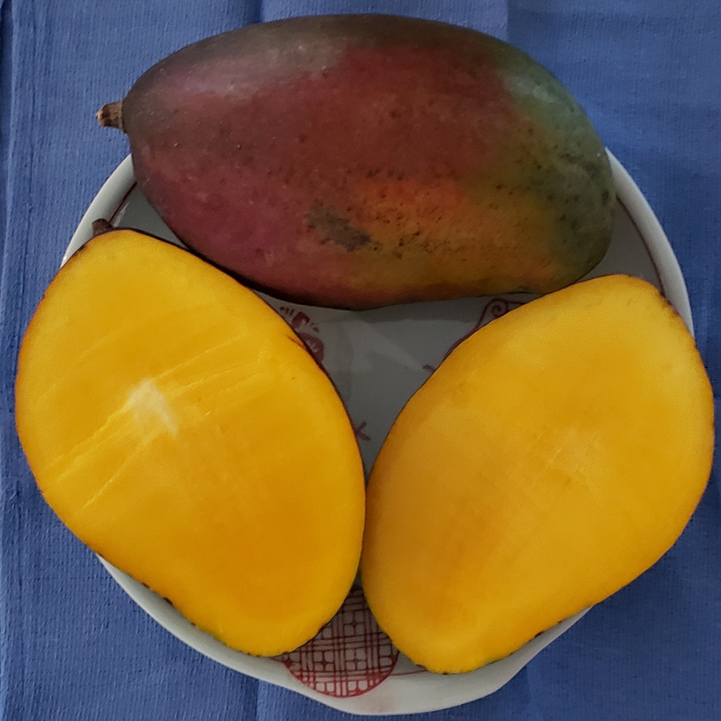 Zill Mango